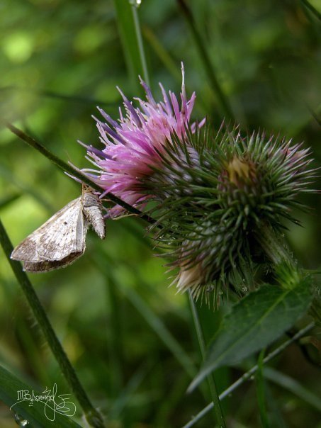 Фотовиставка Тетяни Должко